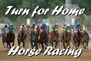 Turn For Home Horse Racing